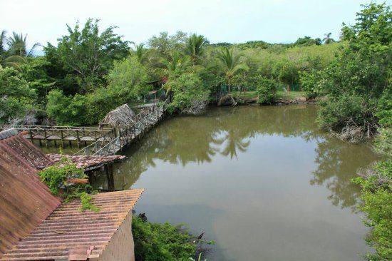 Paseo de los Cocoteros